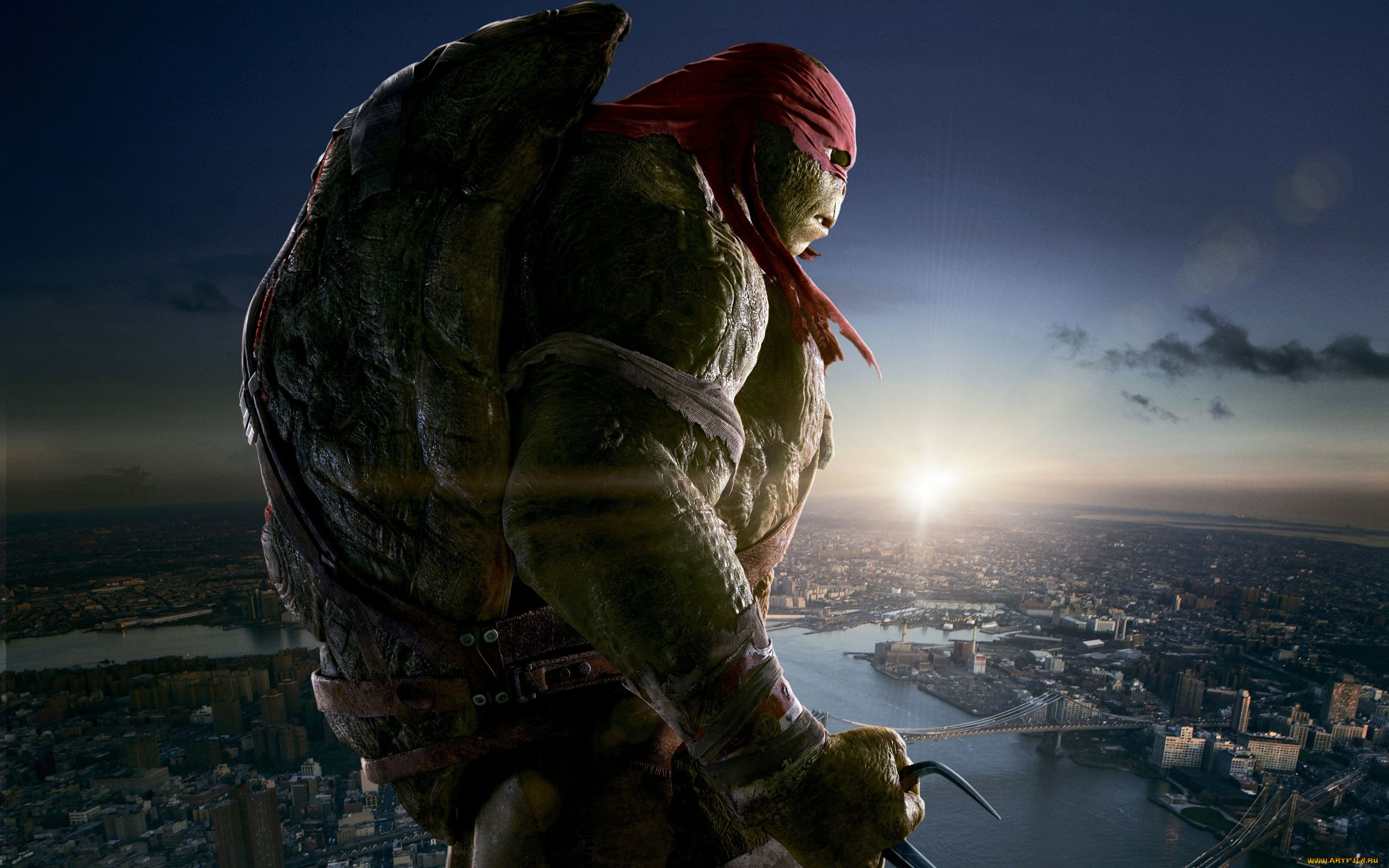  , teenage mutant ninja turtles, raphael, raph